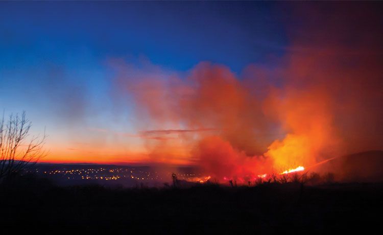 Wildfires